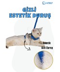 Kedi Tasması Kedi Gögüs Bel Ayarlanabilir Tasma Mavi 2CM